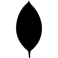 mongodb